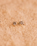 Star Seed Earrings